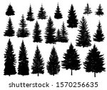 Set Of Silhouettes Of Pine...