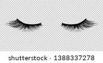 eyelashes icon isolated... | Shutterstock . vector #1388337278