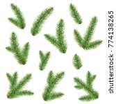  green fir tree branch  | Shutterstock . vector #774138265