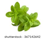 Fresh Mint Sprigs Isolated On...