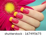 Two-tone manicure with pink and yellow varnish with flower gerbera on a blue background.