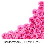 Hot pink roses over white...