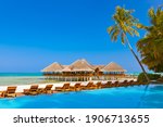 Pool and cafe on Maldives beach - nature vacation background
