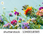 herbal and wildflowers on blue... | Shutterstock . vector #1340018585