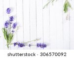 Fresh Lavender Flowers On White ...