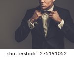 Sharp dressed man wearing jacket and bow tie