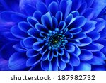 Blue Flower Background Or...