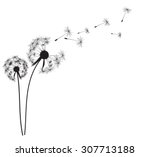 Abstract Dandelion Background...