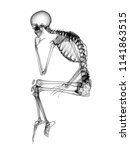 x ray human body 3d render | Shutterstock . vector #1141863515