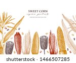 Hand Drawn Corn Design. Vector...
