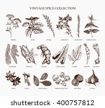 vector set of hand drawn spices ... | Shutterstock .eps vector #400757812