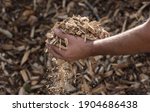 Wood Chips As A Renewable...