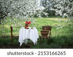 steel life - breakfast in the spring garden. table with white tablecloth served for tea drinking
