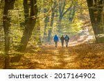 People strolling on Walkway in autumn forest with colorfull fall foliage in hazy conditions. Veluwe, Gelderland Province, the Netherlands.