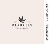 Cannabis Leaf Logo Vector Icon