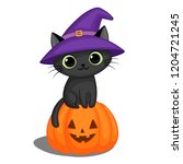 cute black cat in a witch hat... | Shutterstock . vector #1204721245