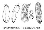 vegetables set vector... | Shutterstock .eps vector #1130229785