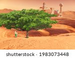 Astronaut growing tree on red planet. Mars exploration and colonization concept. Elements of this image were furnished by NASA
