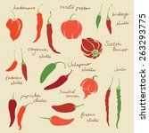 set of different chili peppers... | Shutterstock .eps vector #263293775