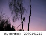 Small photo of silhouette of professional feller or arborist on ropes in evening between trees cutting down tree branches, autumn garden clearing works, wood harvesting