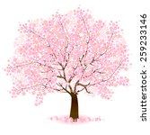 Free Cherry Blossom Tree Vector