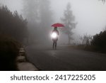 Small photo of Person Walking on a Misty Road in Bad Visibility Conditions with a Torchlight and Red Umbrella to Be more Visible to the Traffic