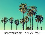 Palm Trees At Santa Monica...
