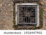 Partially Blocked Drain Grate...