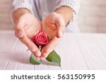 Love concept. Man holding hands like heart with orange rose inside. Valentine's postcard. Women's day. St. Valetine's day.