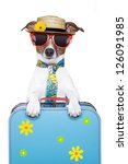 Dog On Holidays With Luggage ...