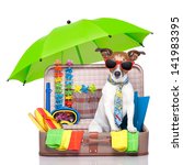 Summer Vacation Dog In Bag Full ...