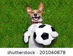 Soccer Dog Holding A Ball And...