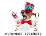 Small photo of jack russell dog celebrating 2017 new years eve with champagne glass and singing out loud, with a fireworks rocket , isolated on white background