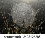 Small photo of spiderweb detailed view close up sipder web cobweb cobwebs