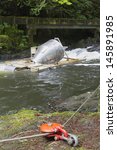 Rotary Screw Trap Device Used by United States Washington Fish and Wildlife Department Along River to Catch and Release Downstream Outmigrants Fishes for Research at Cedar Creek