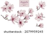 Vector Flowers Set With...