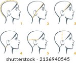 stylized linear silhouette of a ... | Shutterstock .eps vector #2136940545