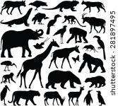 Zoo Animals Collection   Vector ...
