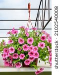 Hanging Flower Pot With...