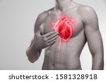 Human Heart  Man Holding His...