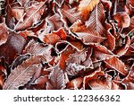 Brown Frozen leaves background texture symbolizing winter mornings