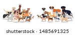 group of dogs pets characters | Shutterstock .eps vector #1485691325