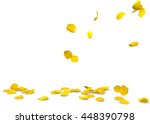 Yellow Rose Petals Flying On...