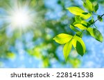 Bright spring natural background