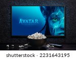 Tv screen playing avatar the...