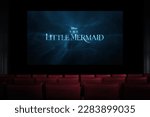 The little mermaid movie in the ...