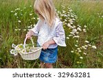 Little Girl Picking Wild Daisies