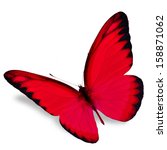 Red Butterfly Flying  Isolated...