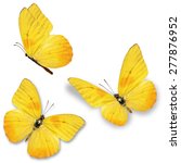 Three yellow butterfly ...