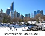 Central Park In The Winter  New ...